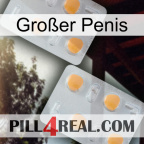 Großer Penis 25